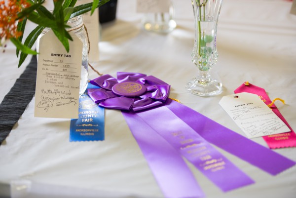 different kinds of ribbons at the Morgan County Fair