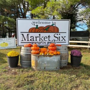 Market Six Pumpkin Patch Market Six Pumpkin Patch