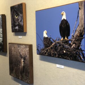 David Strawn Art Gallery