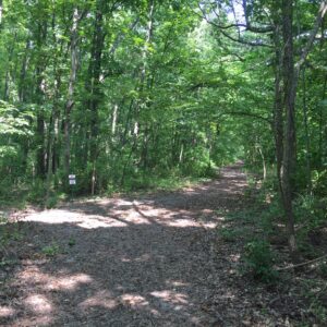 Crimson & Rocket Recreational Trails